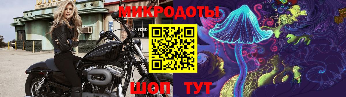 Галлюциногенные грибы прущие грибы Таганрог