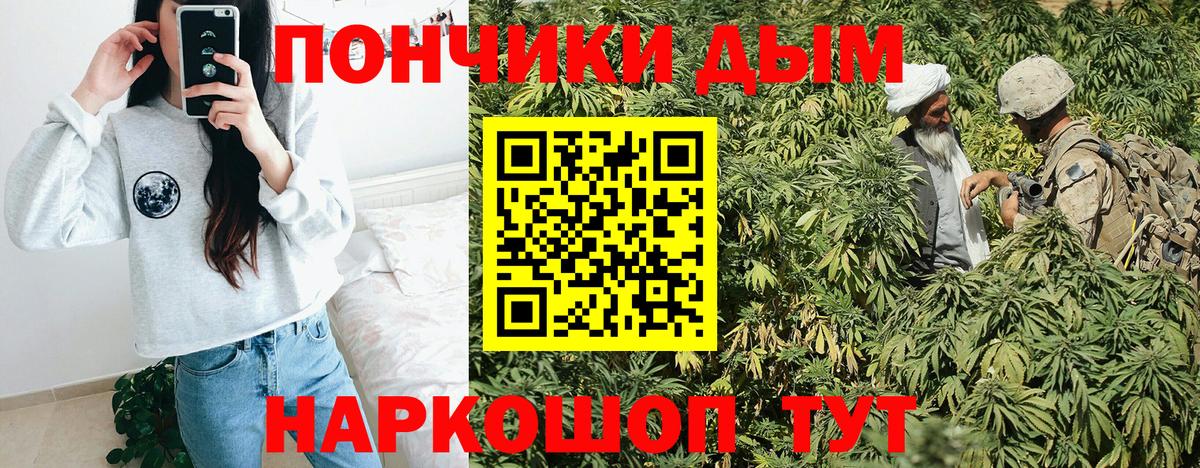 Канабис гибрид Таганрог